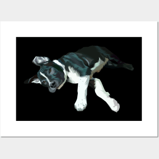 sleepy black dog-vector art Posters and Art